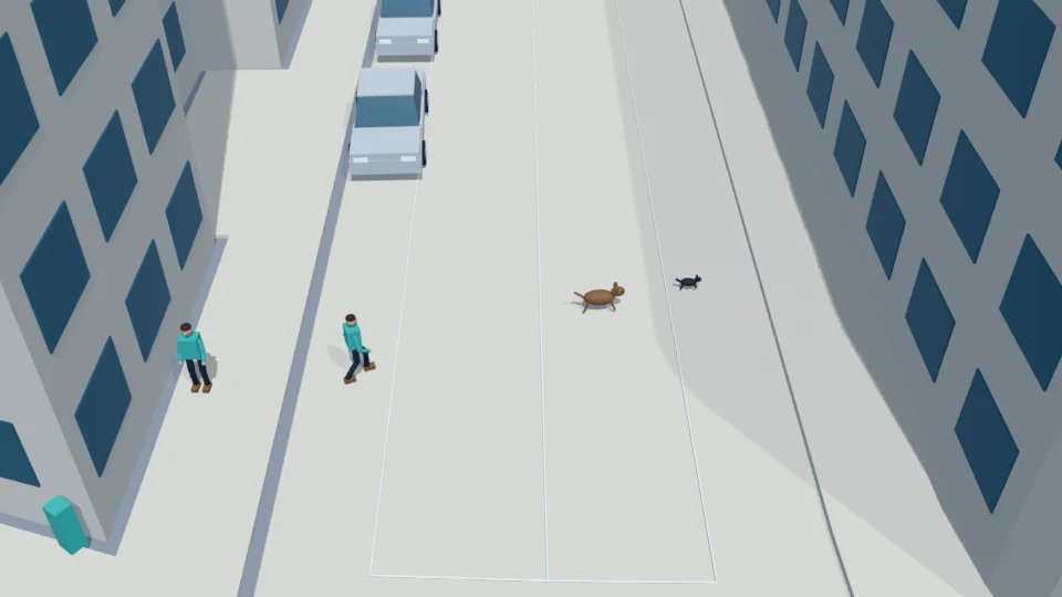 Unleashed dog chases a startled cat into the lane rehearsal